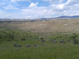 boise