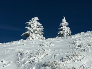 Prima neve